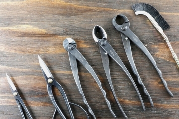 The Best Bonsai Tools & Accessories for Proper Maintenance main image
