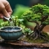 How to Care for Your Bonsai Tree: Watering, Pruning, and More sidebar image